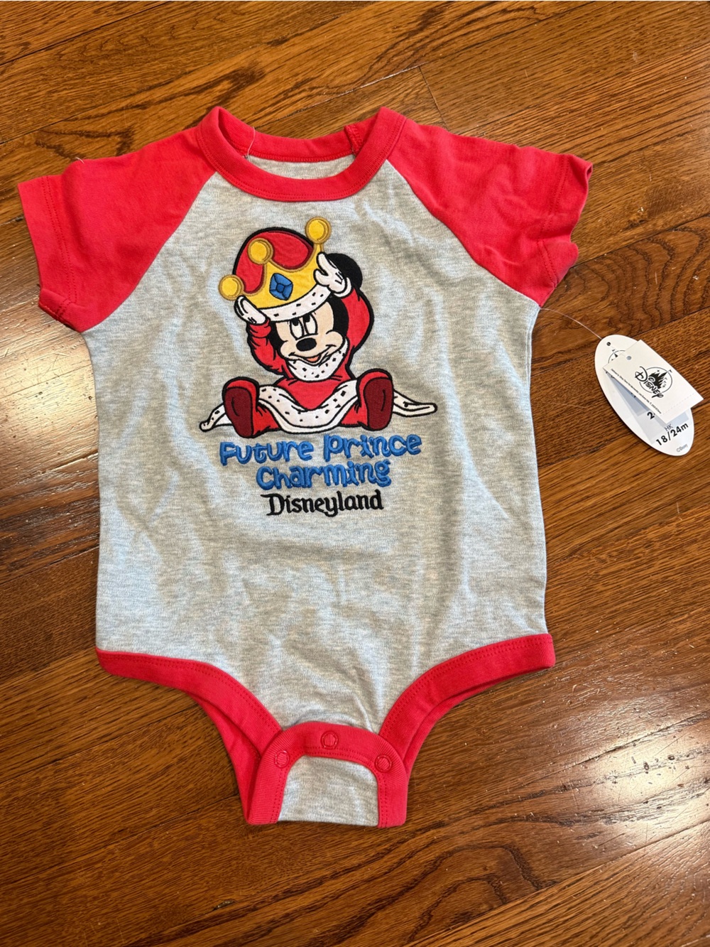 “Future Prince Charming” Disneyland 18-24 month Onesie